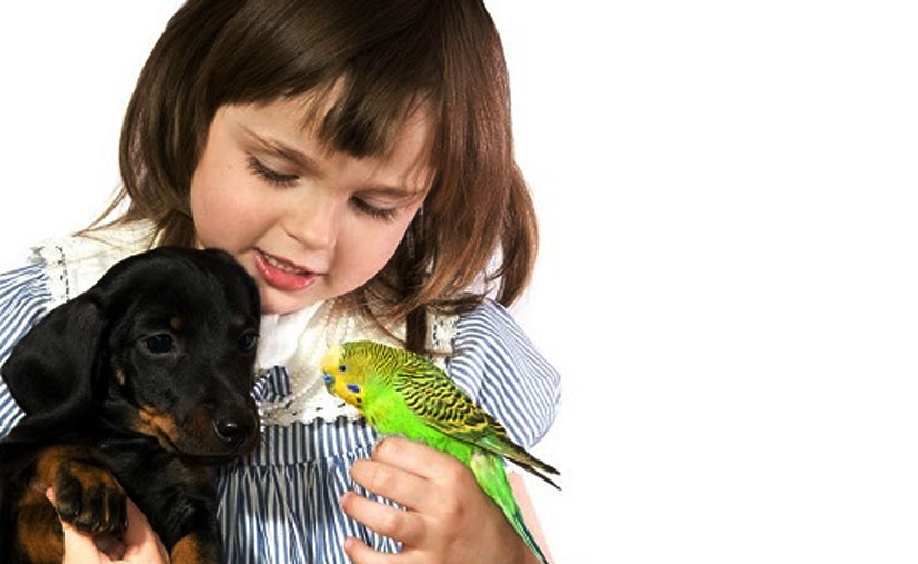 Попугай для ребенка предпочтителен тем, что он требует к себе особого внима
